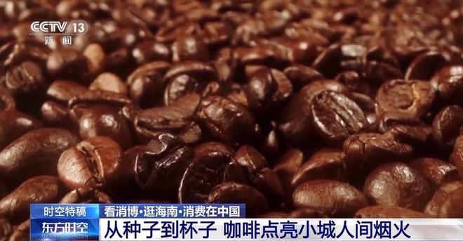 是咖啡爱好者的“梦中情地”吧AG真人阳光海浪伴着咖啡香这(图2)
