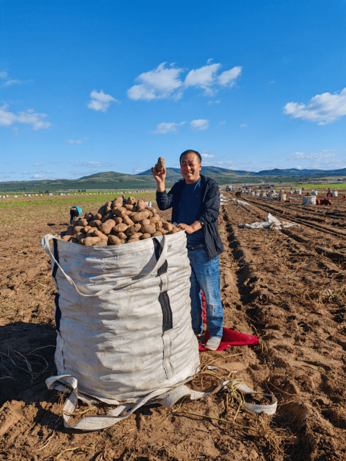 超所值”升级靠诚意圈粉无数AG真人游戏地址麦当劳“麦(图2)